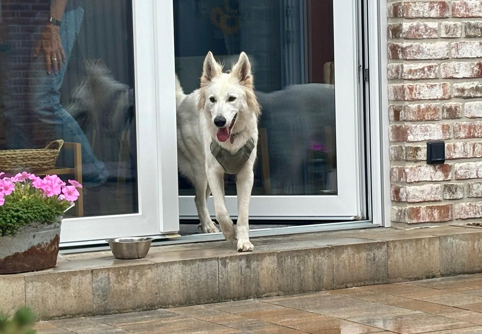 Adara am 22. September 2025