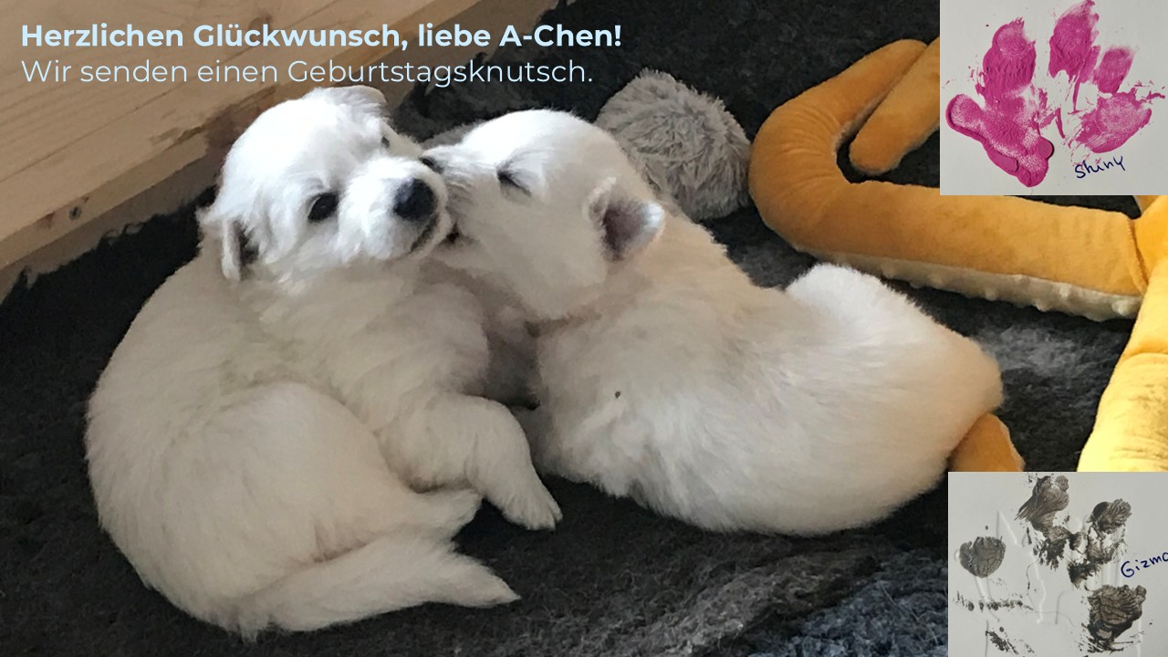 Geburtstagskarte A-Chen